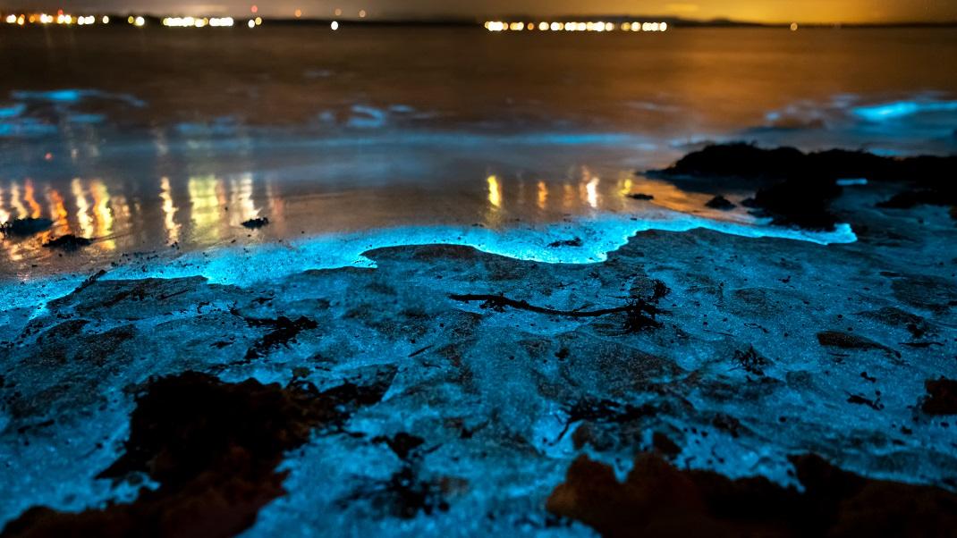 The beach that glows in the dark - The ethereal glow of the crystal clear waters of Australia