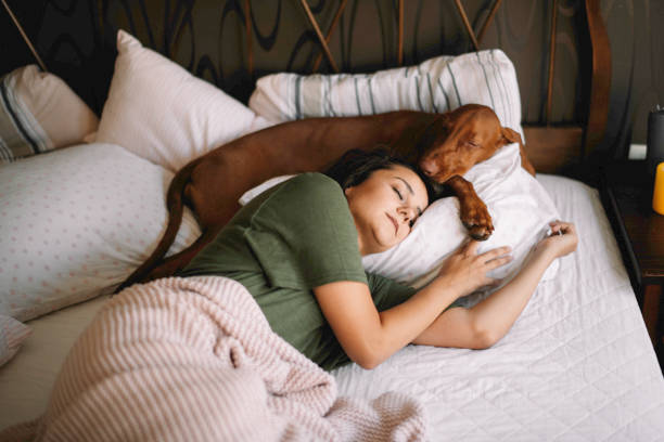 Your Dog Does Not Sleep With You For Love, But To Reach The REM Phase