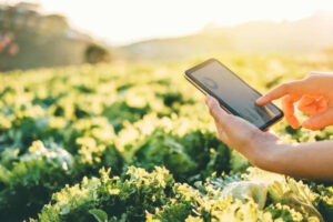 Agriculture Business : 15 Agribusiness Business Ideas