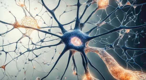 How Nanotechnology is Revolutionizing the Future of Medicine