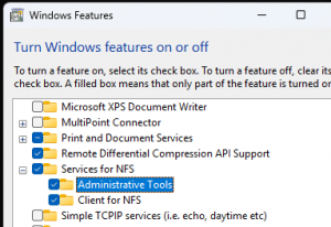 Ustanovka Client For Nfs V Windows 11 300x206