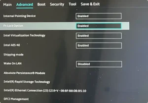 How to enable the F1-F12 keys on a laptop if they don't work 4 buzz-456778